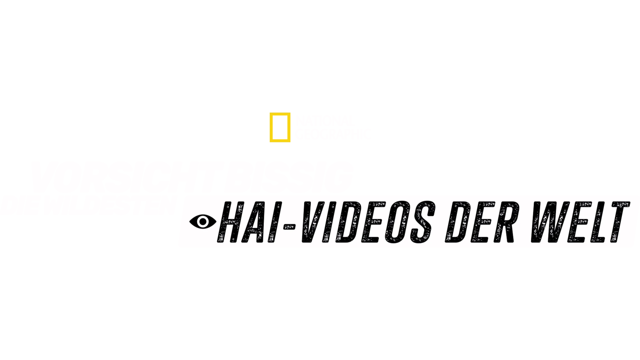 Vorsicht bissig: Die wildesten Hai-Videos der Welt