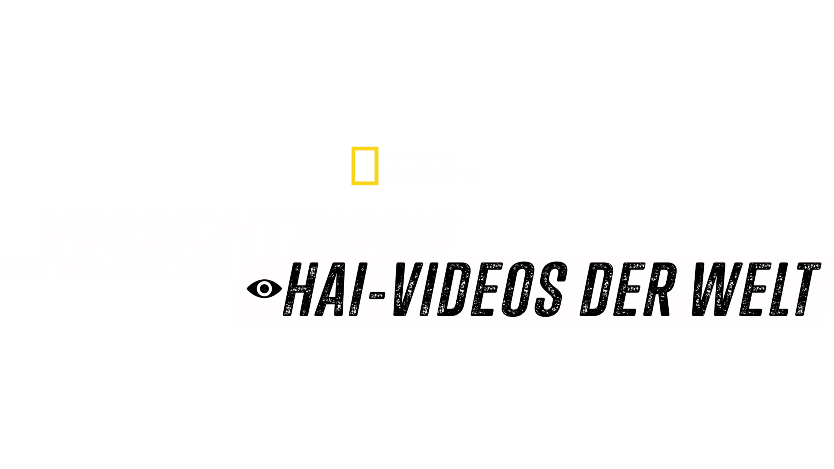 Vorsicht bissig: Die wildesten Hai-Videos der Welt