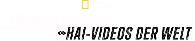 Vorsicht bissig: Die wildesten Hai-Videos der Welt