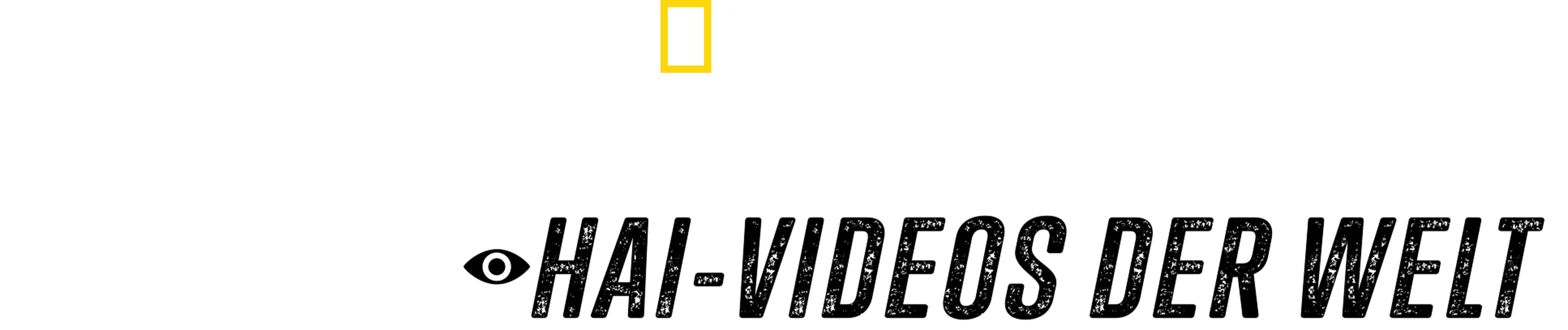 Vorsicht bissig: Die wildesten Hai-Videos der Welt
