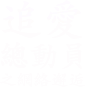 追愛總動員之網絡邂逅