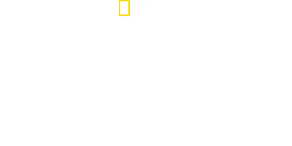 Street Genius