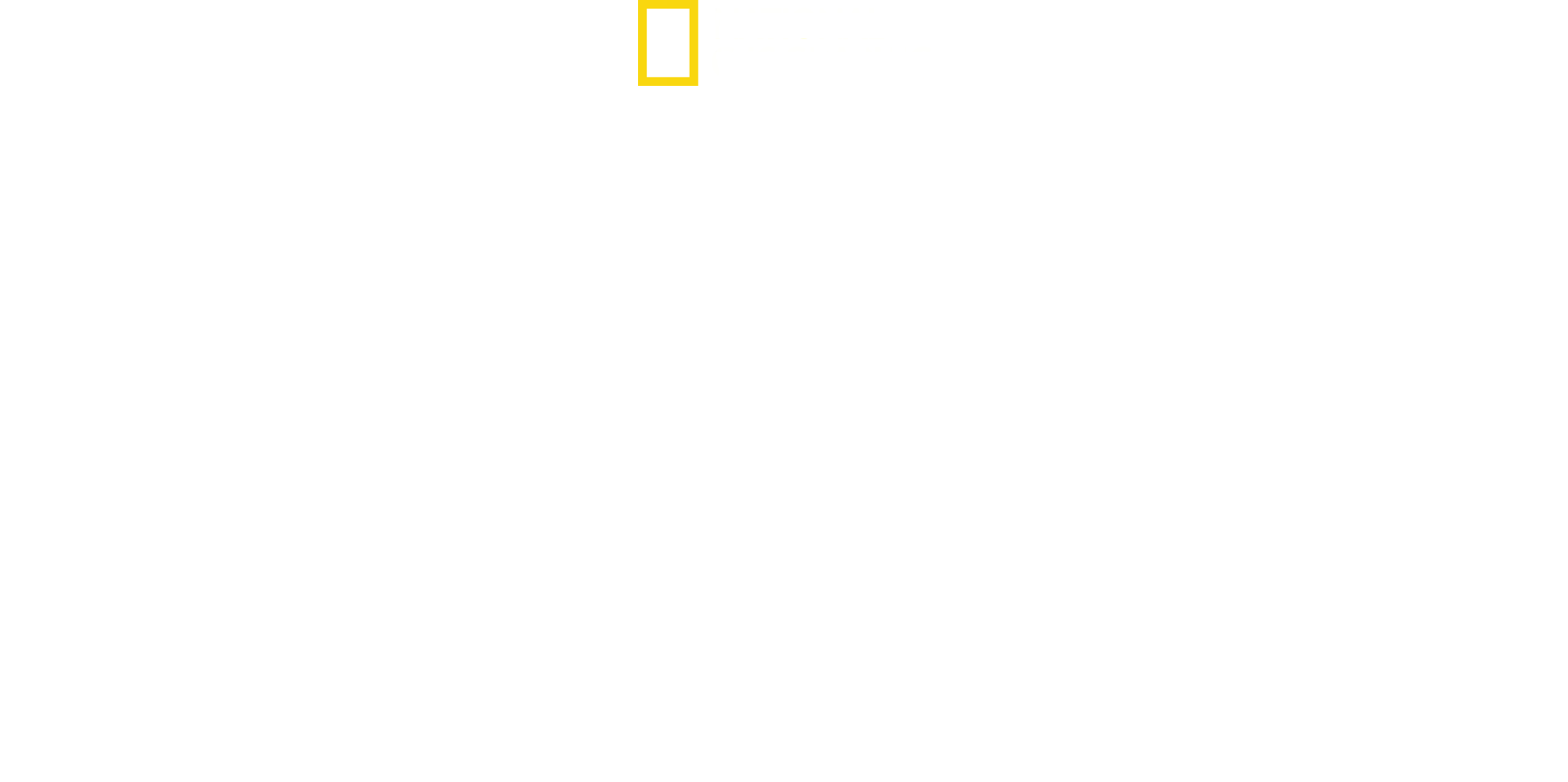 Street Genius