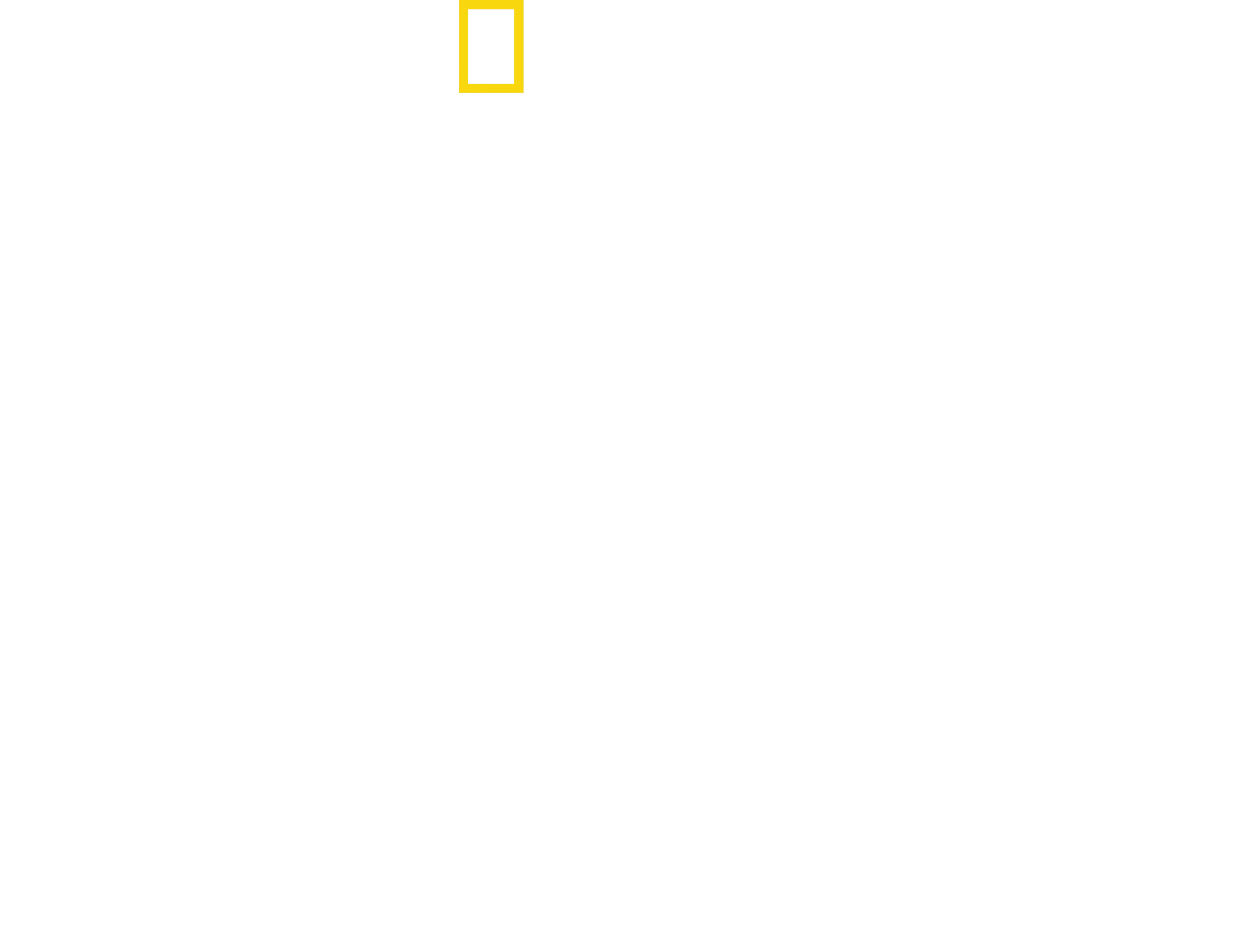 Snake City