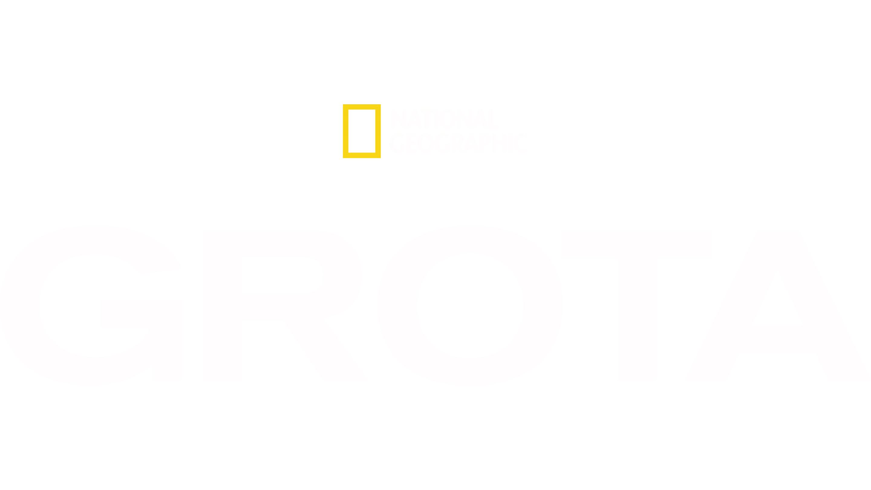 Grota