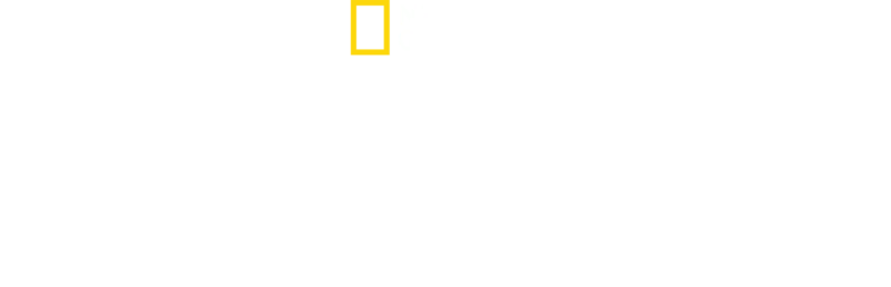 Grota