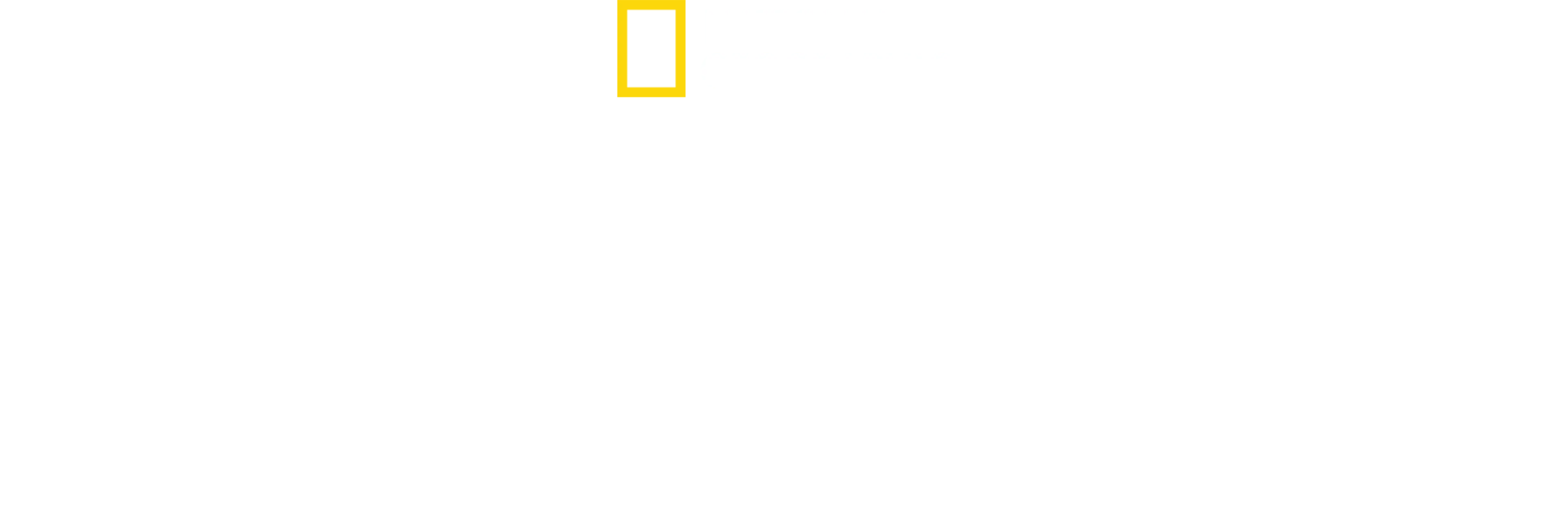 Grota