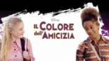 thumbnail - Il colore dell'amicizia