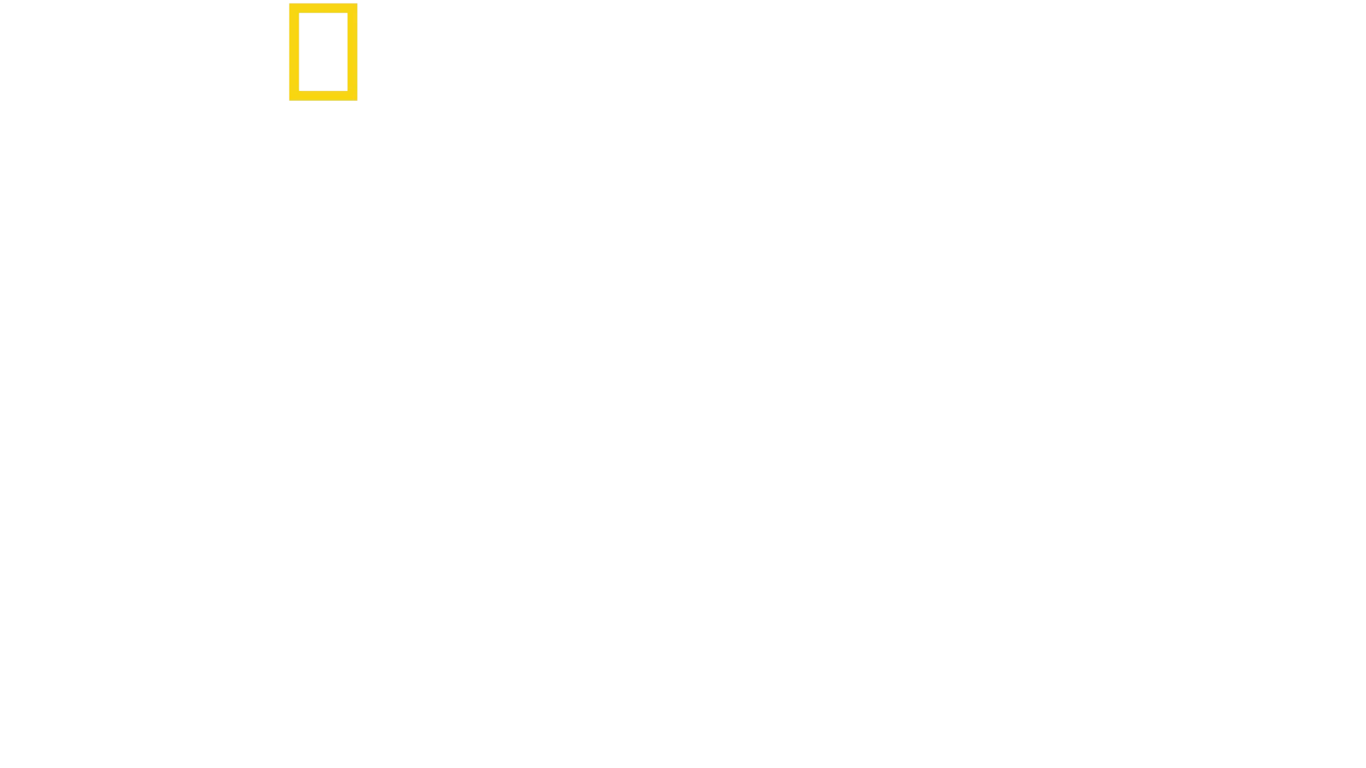 Delfíny zblízka s Bertiem Gregorym