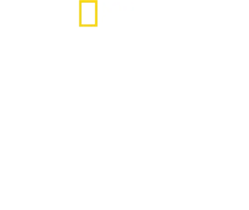 Delfíny zblízka s Bertiem Gregorym