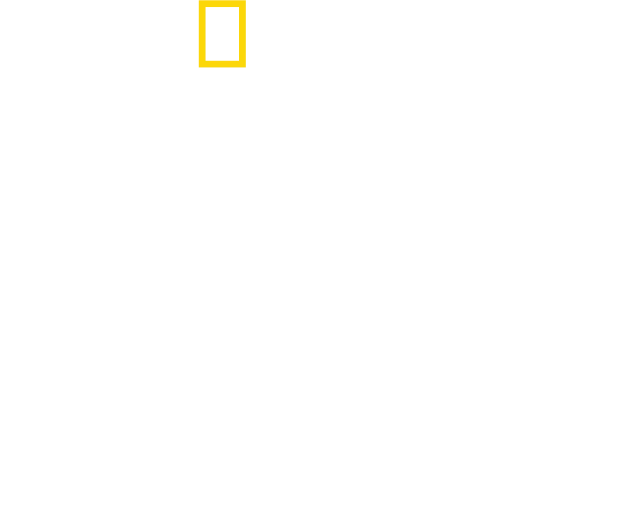 Delfíny zblízka s Bertiem Gregorym