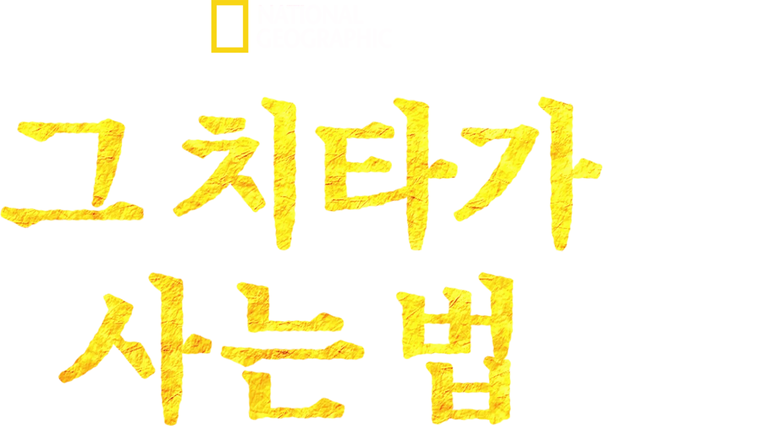 그 치타가 사는 법