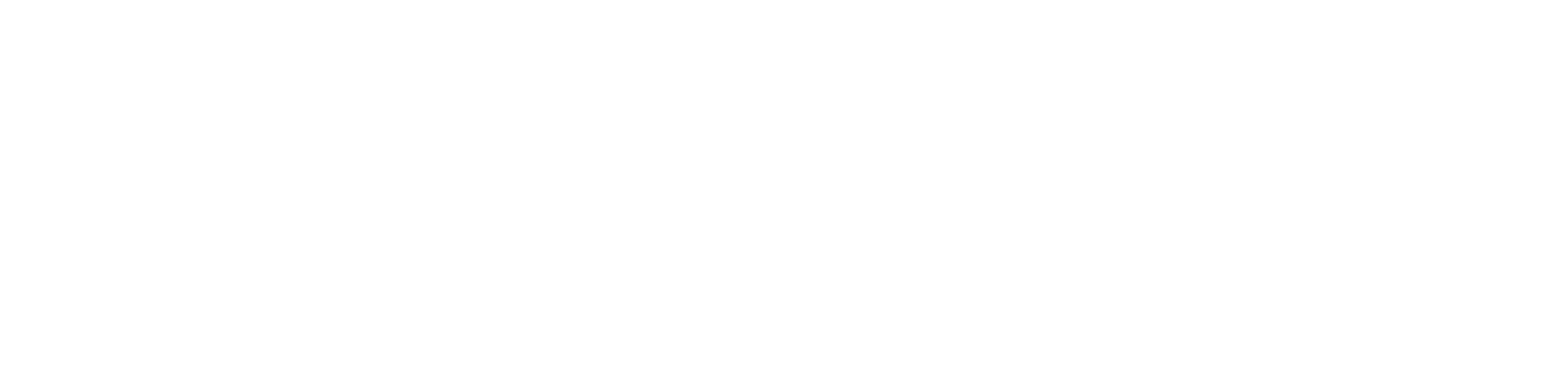 Sieć