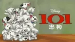 thumbnail - 101忠狗