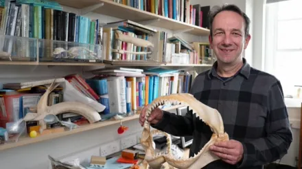 Shark Quest: Hunt for the Apex Predator