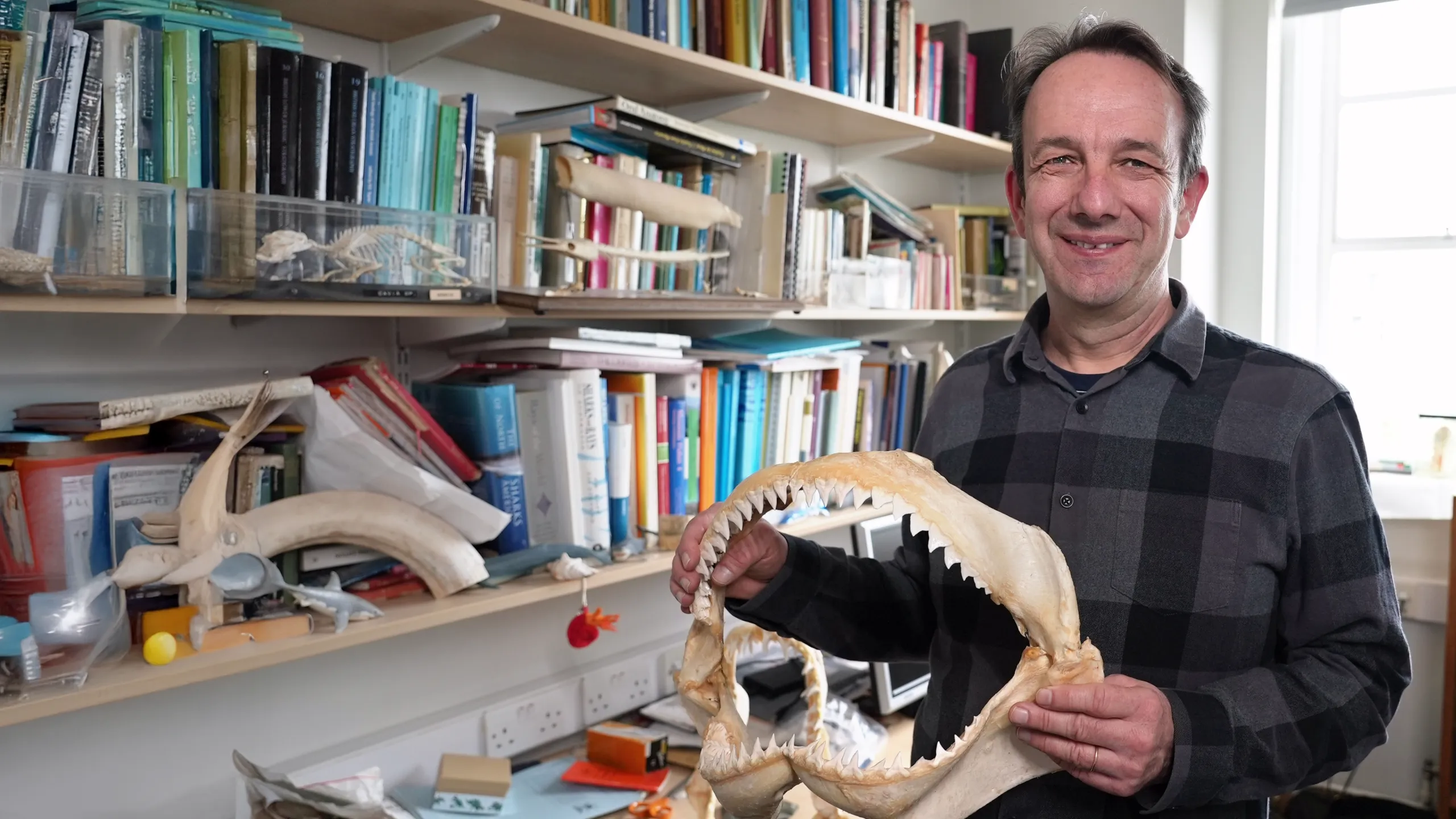 Shark Quest: Hunt for the Apex Predator