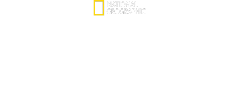 Antarctica: Forschung am Limit