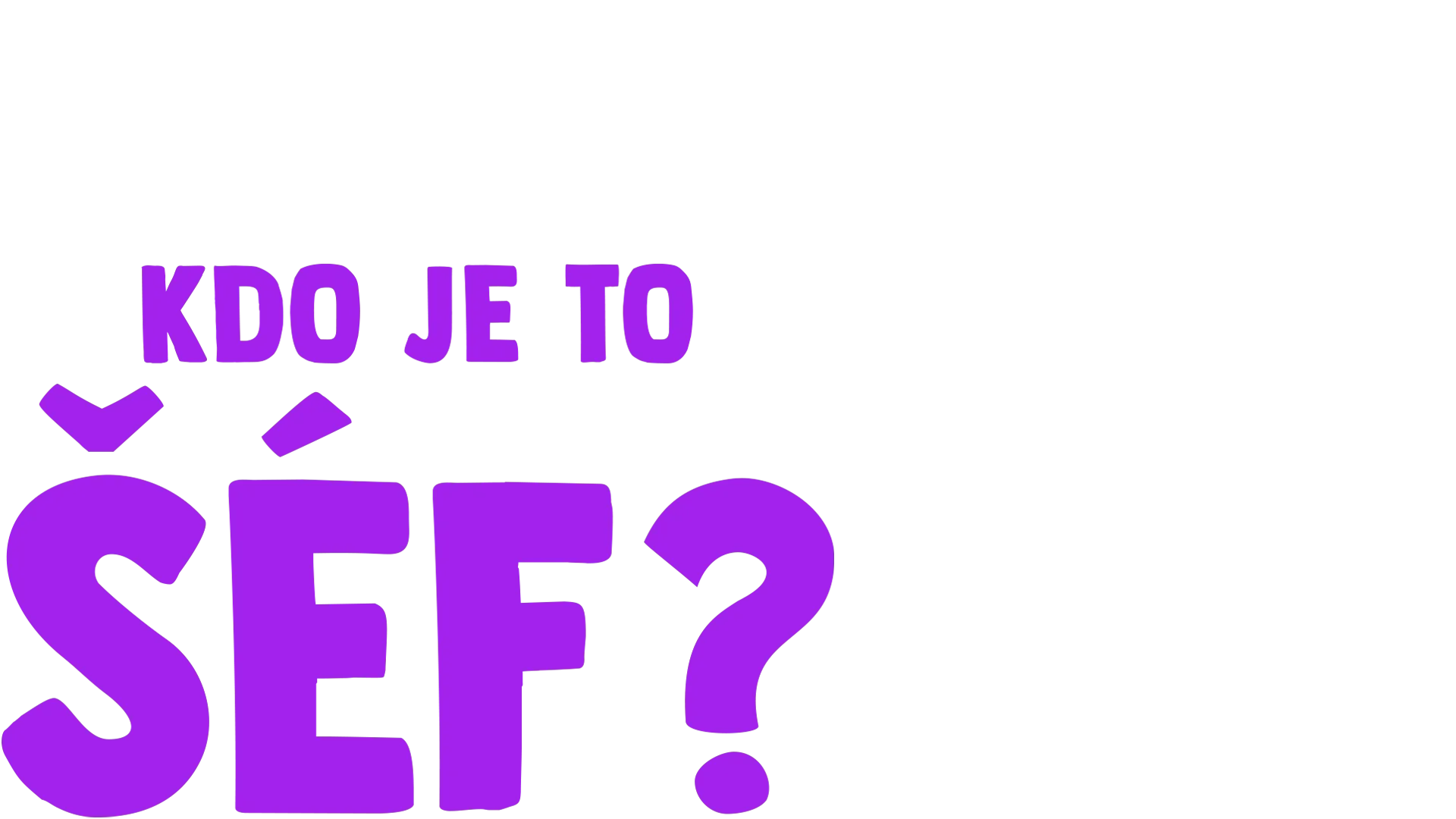 Vidlík má otázečku: Kdo je to šéf?