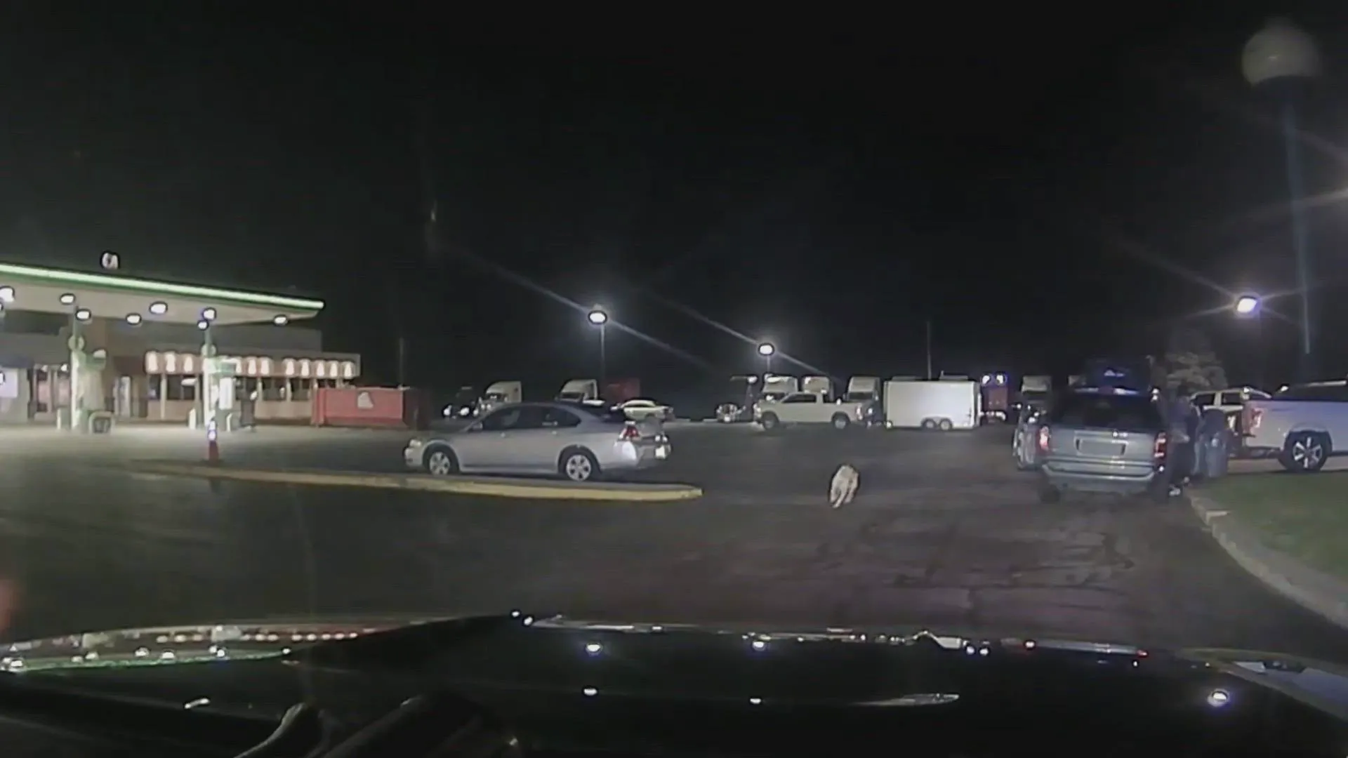 thumbnail - S1:E7 Fugitives Caught on Tape (#107)