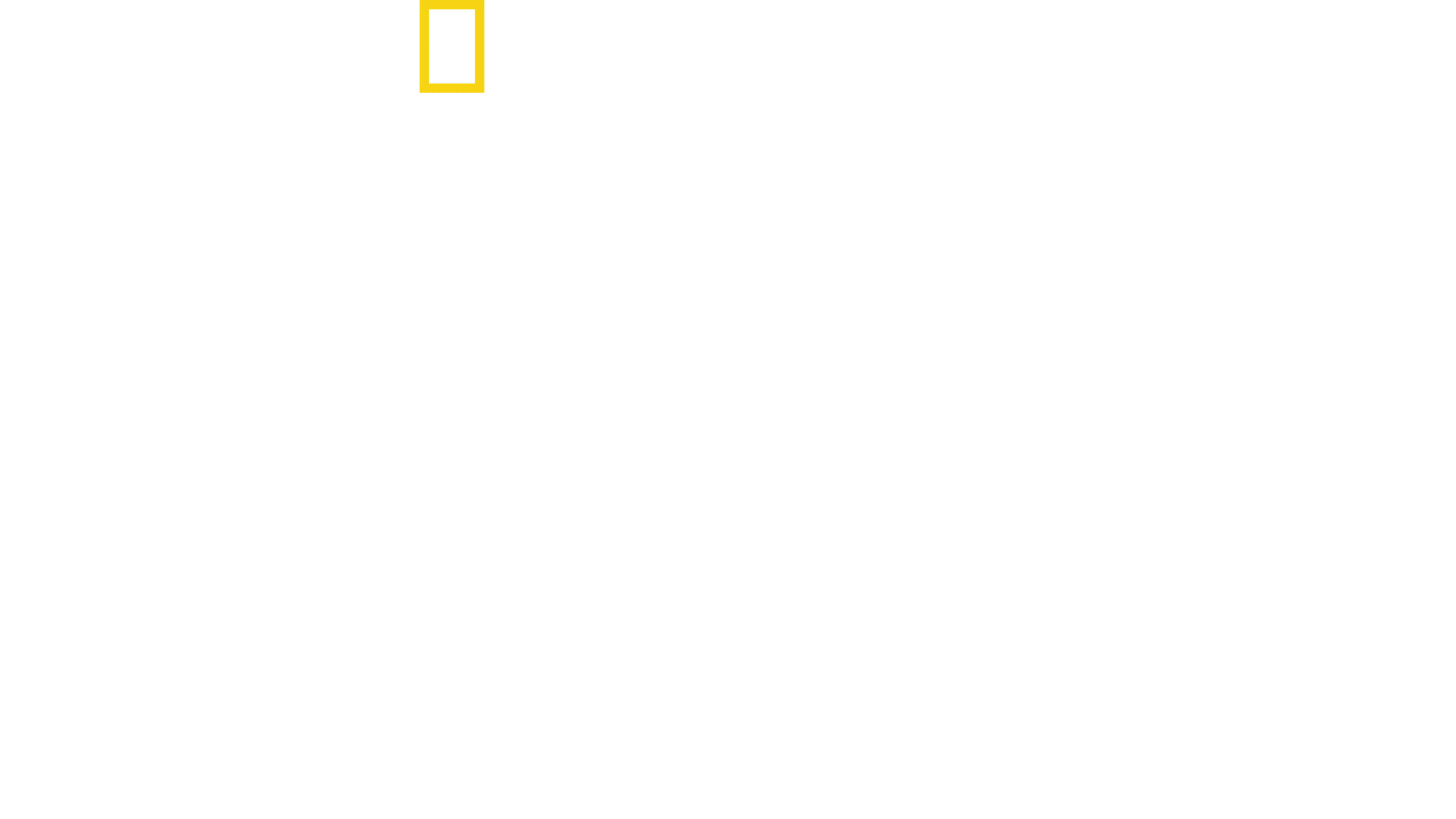 세상에서 가장 유명한 상어들