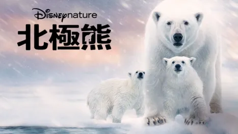 thumbnail - 北極熊