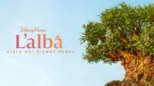 thumbnail - L’alba vista dai Disney Parks