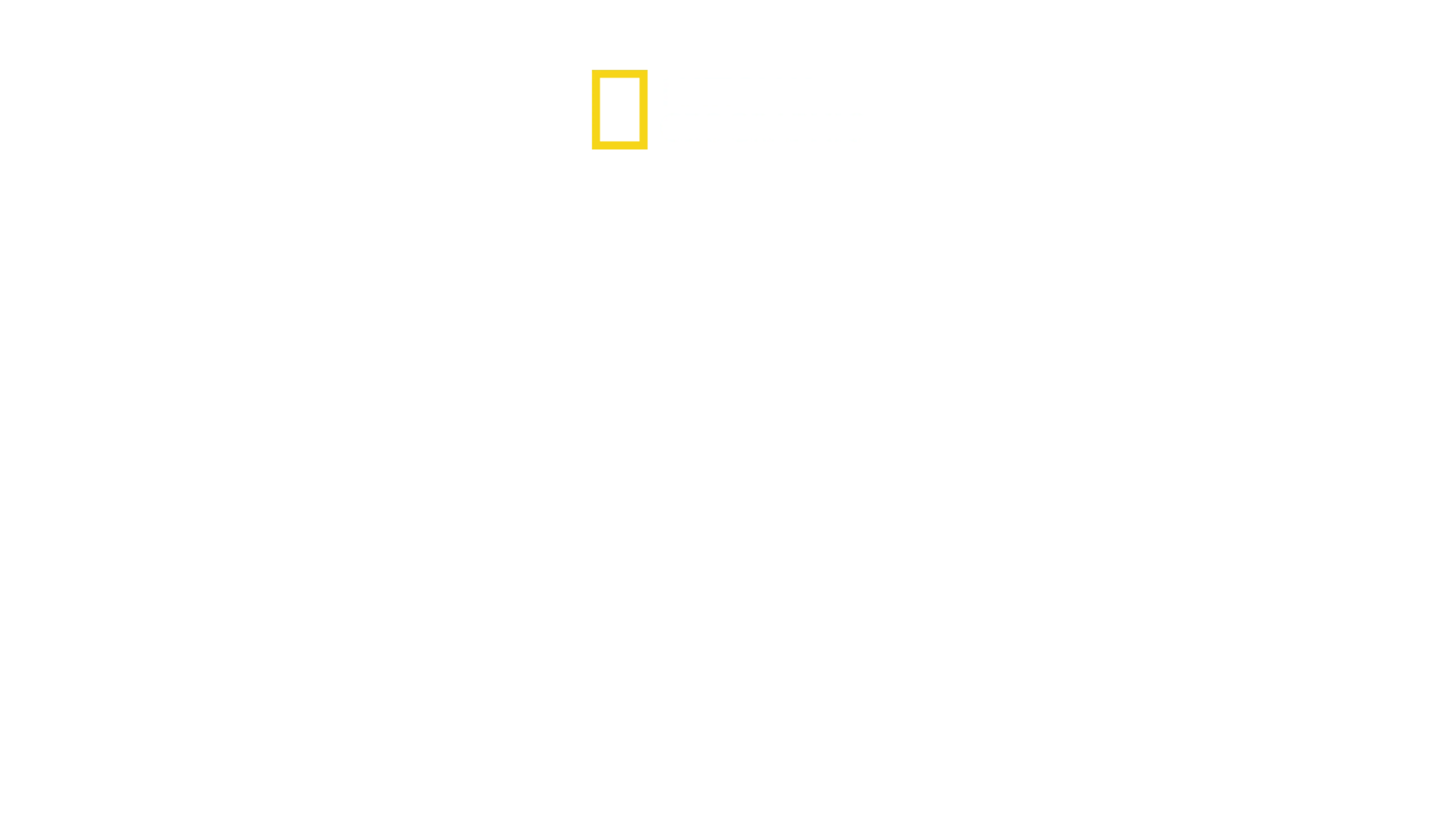 Bobi Wine: Halkın Başkanı
