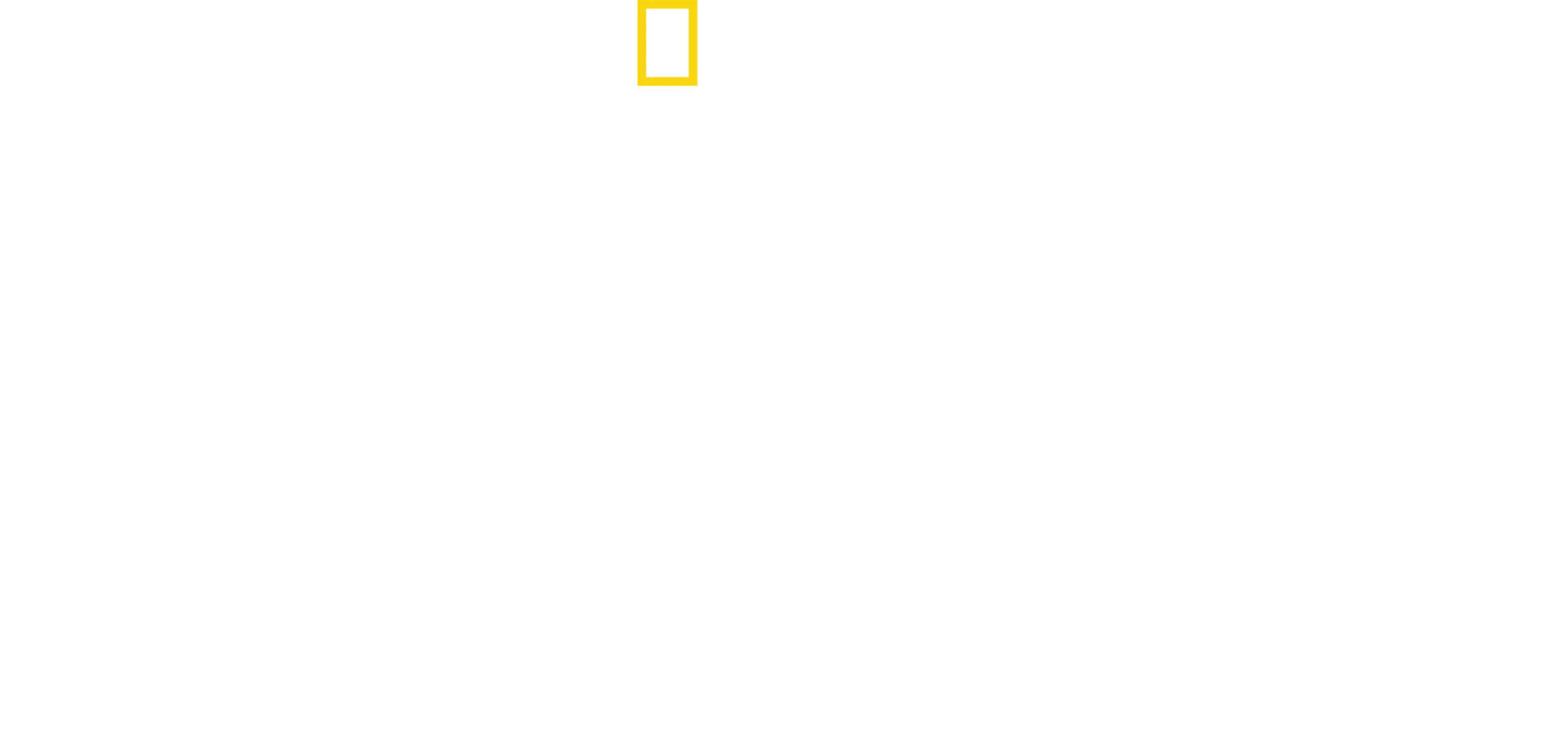 Bobi Wine: Halkın Başkanı