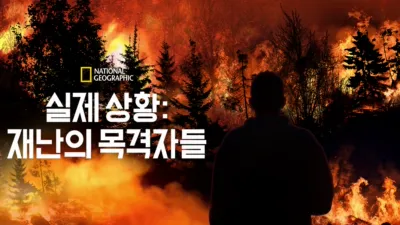 실제 상황: 전쟁