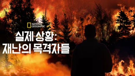 thumbnail - 실제 상황: 전쟁