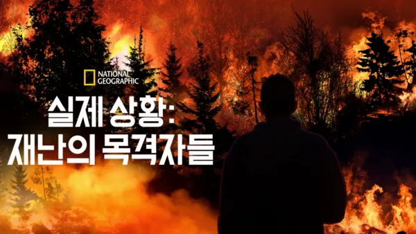 thumbnail - 실제 상황: 전쟁