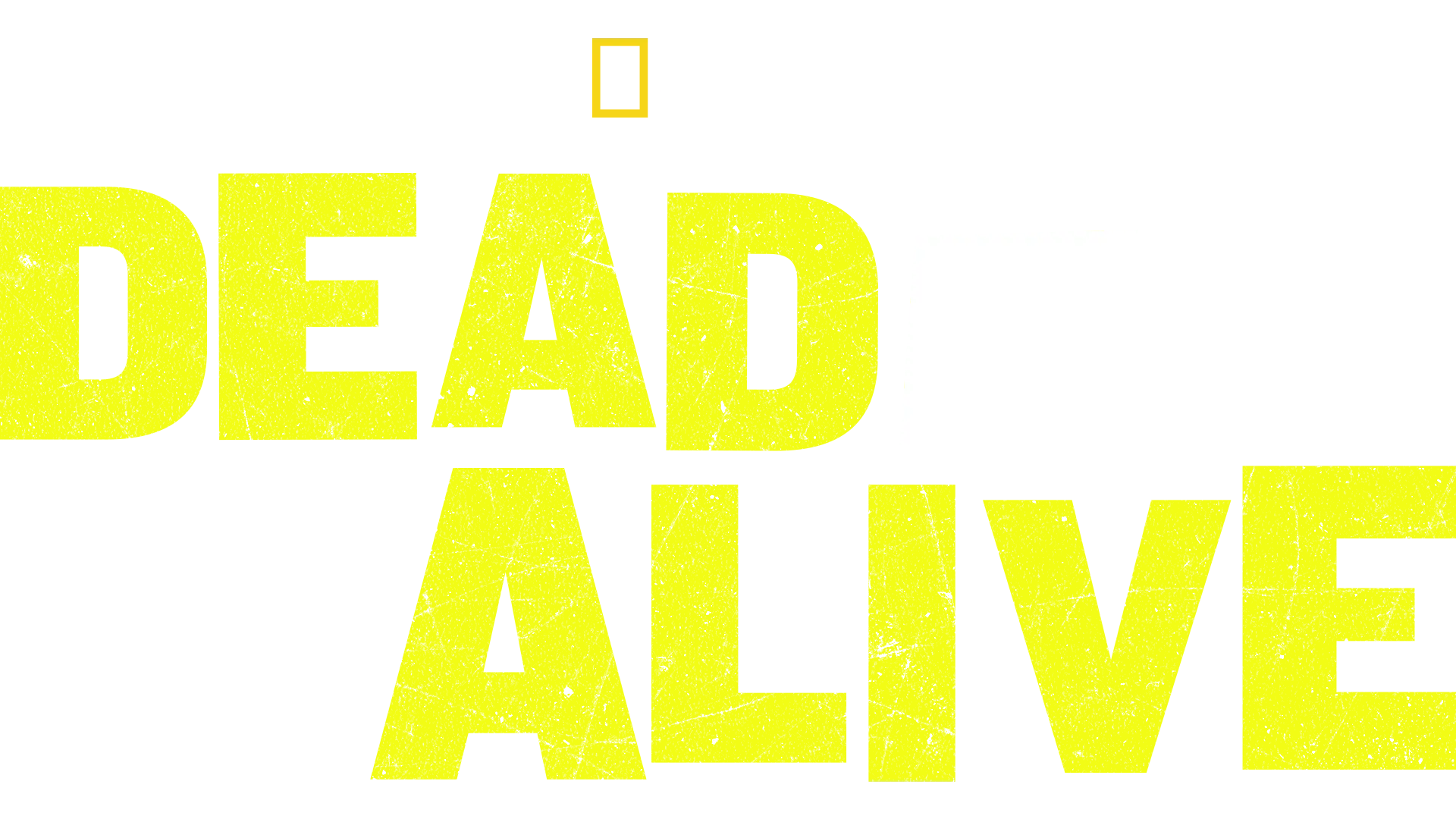 Dead or Alive