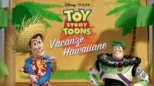 thumbnail - Vacanze Hawaiiane