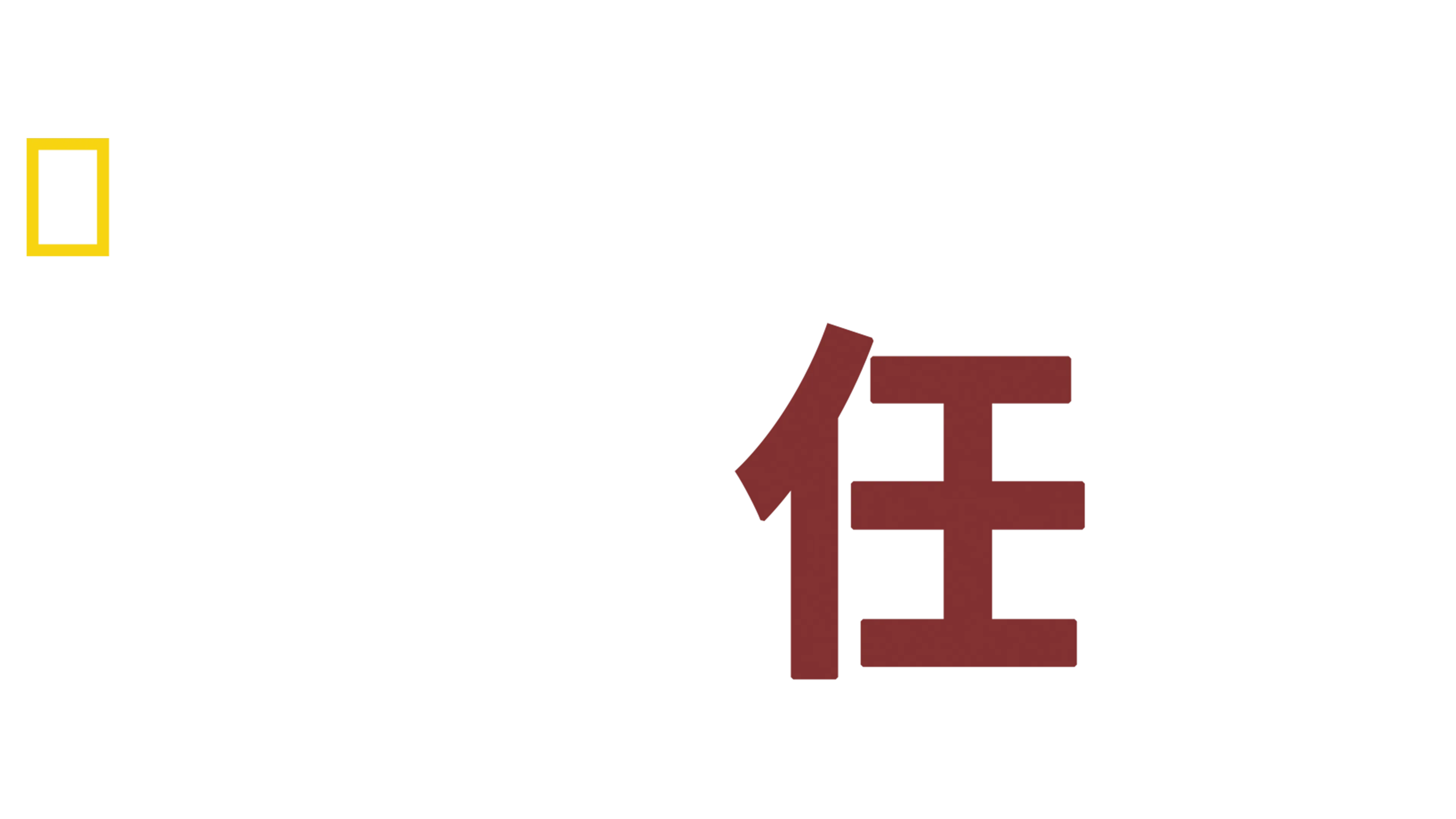 馴狗任務