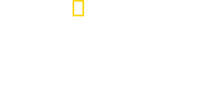 Dzika Argentyna