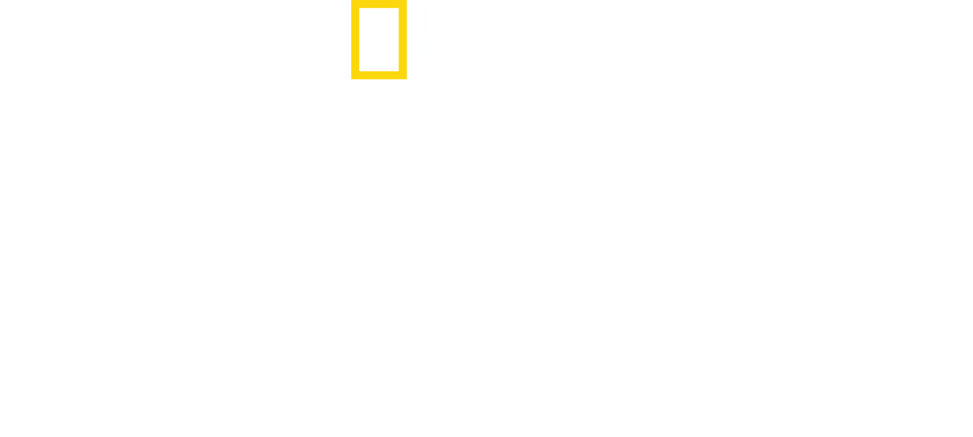 Dzika Argentyna