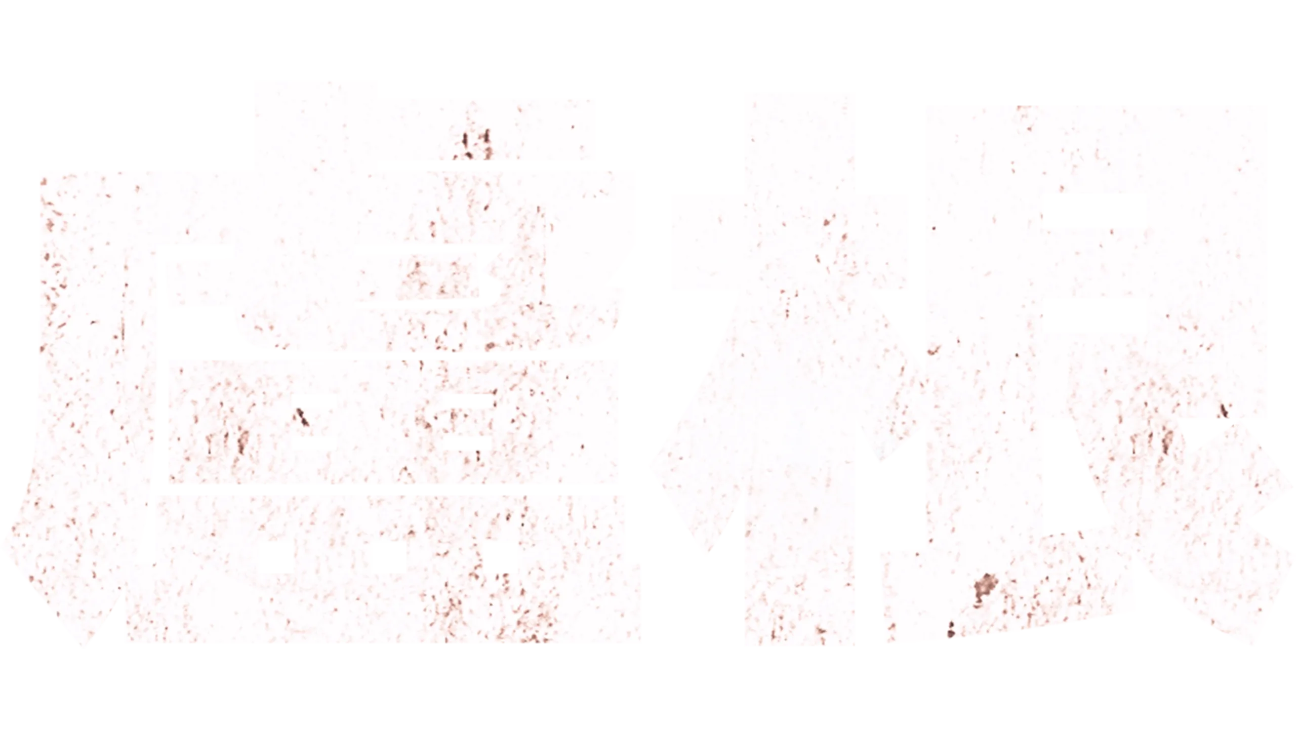 盧根