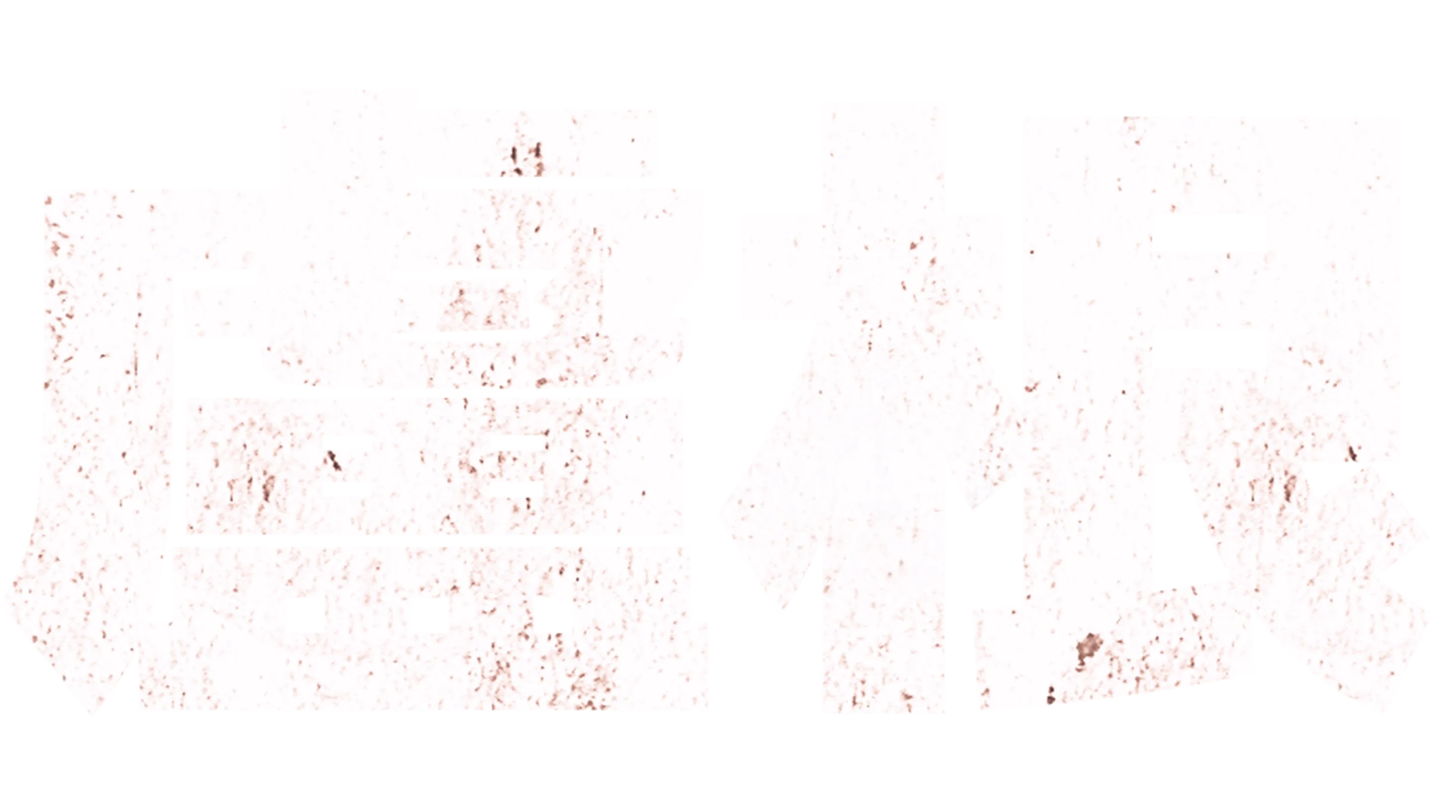 盧根