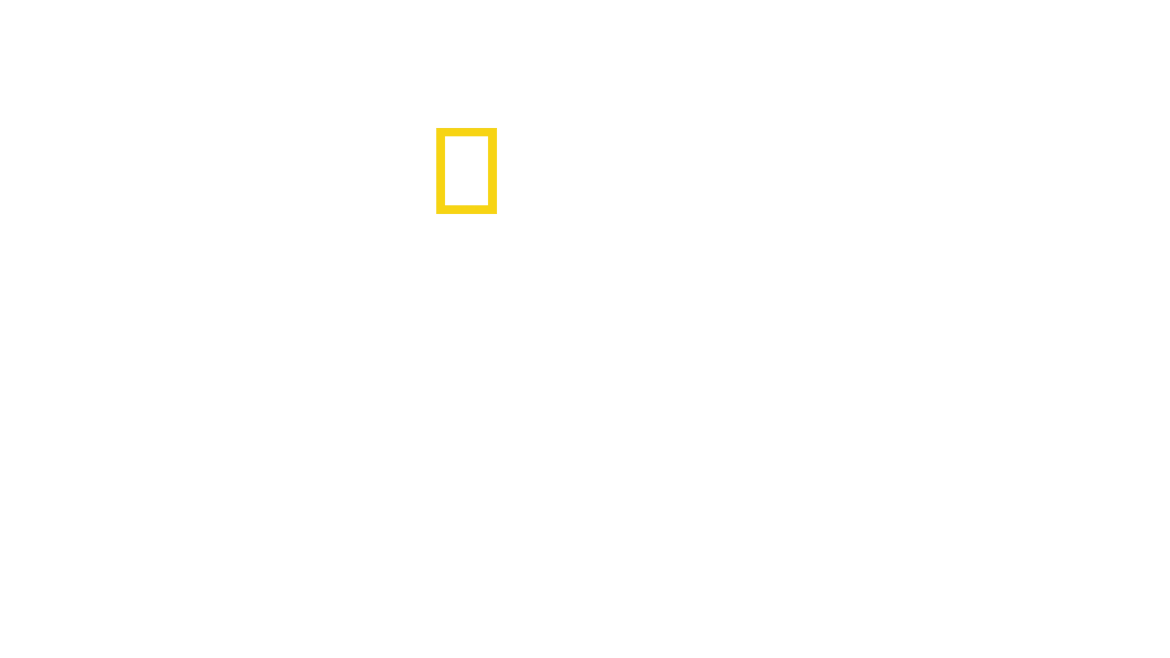Uçak Kazası Raporu