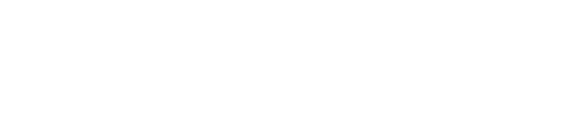 Shared Custody