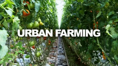 Urban Farming