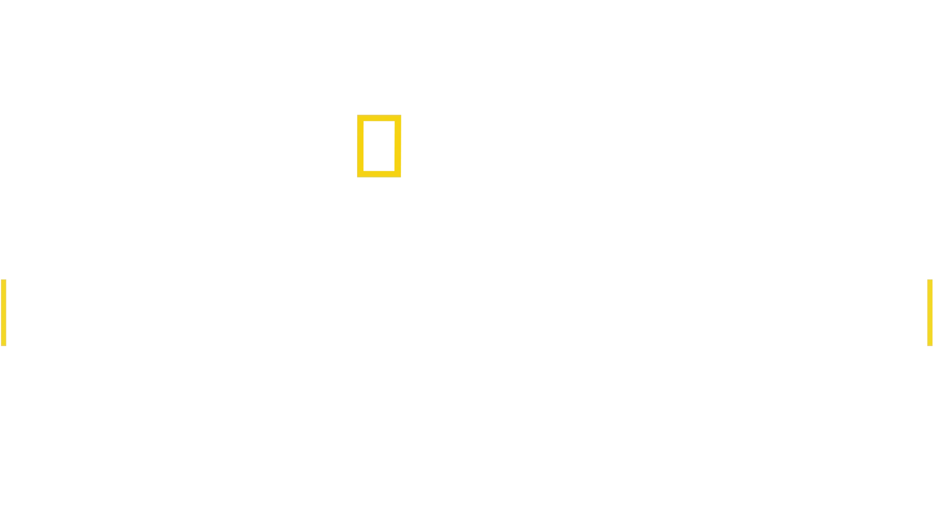 Dinosaurs' Hunter