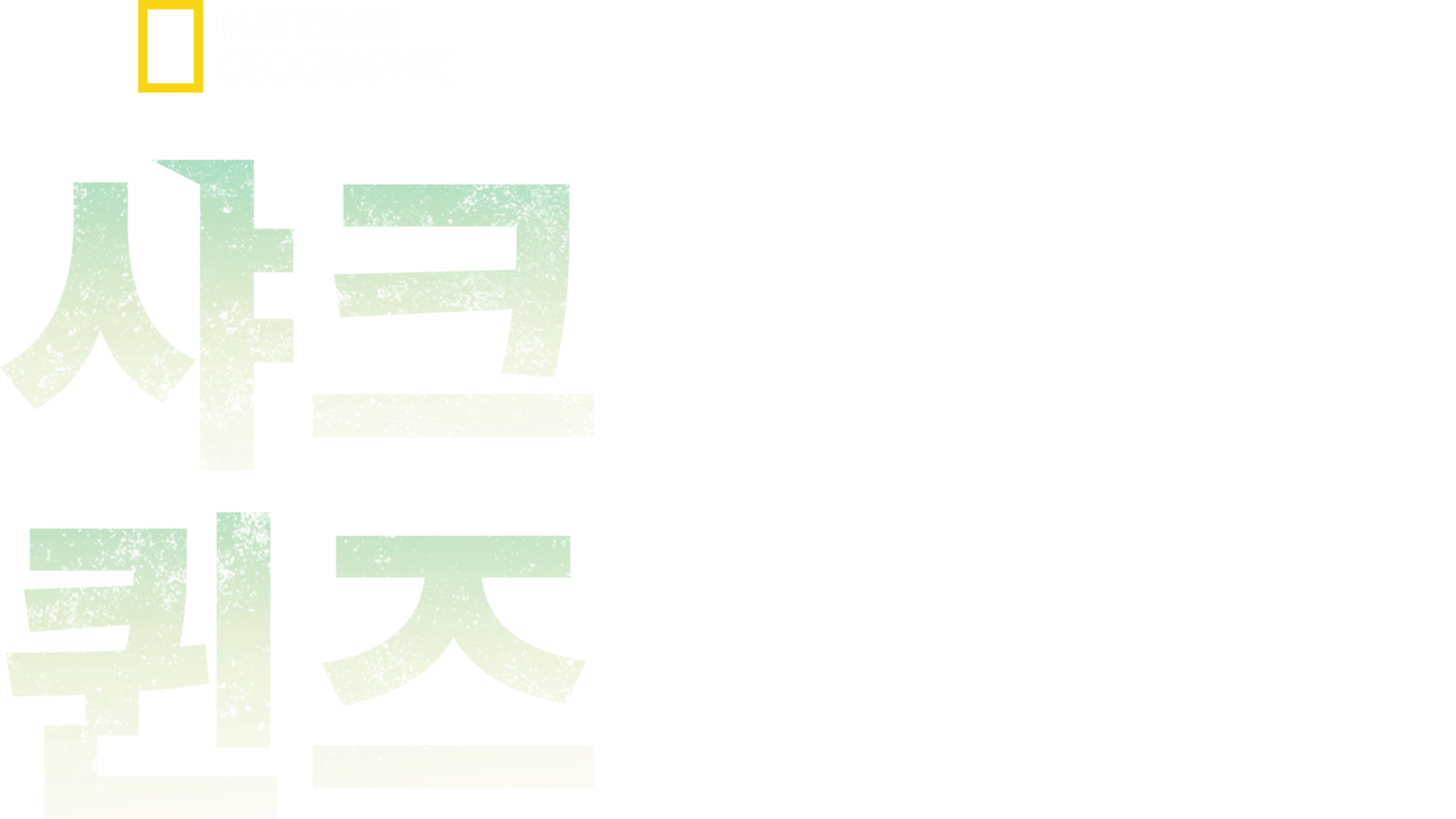 샤크 퀸즈