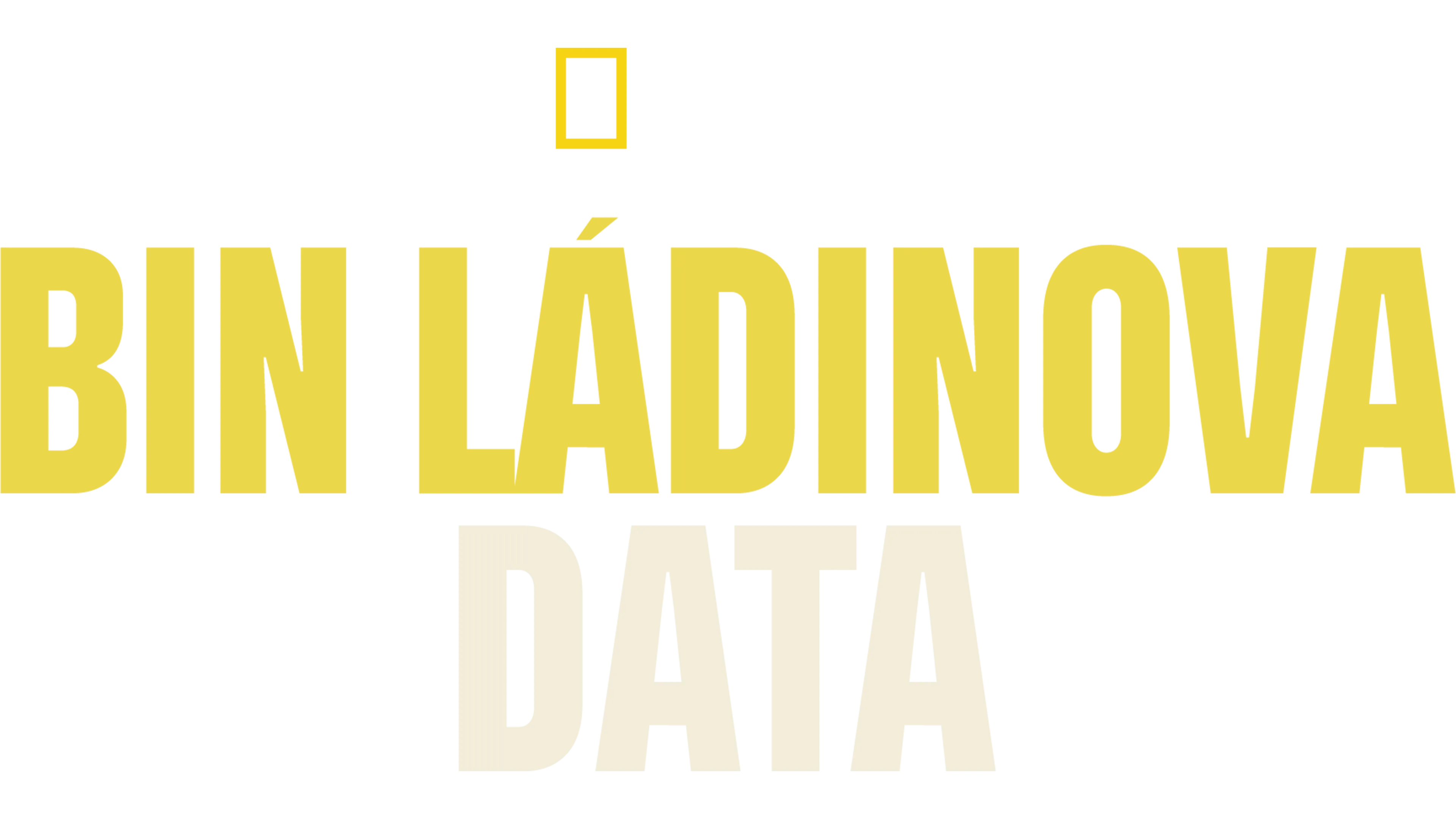 Bin Ládinova data