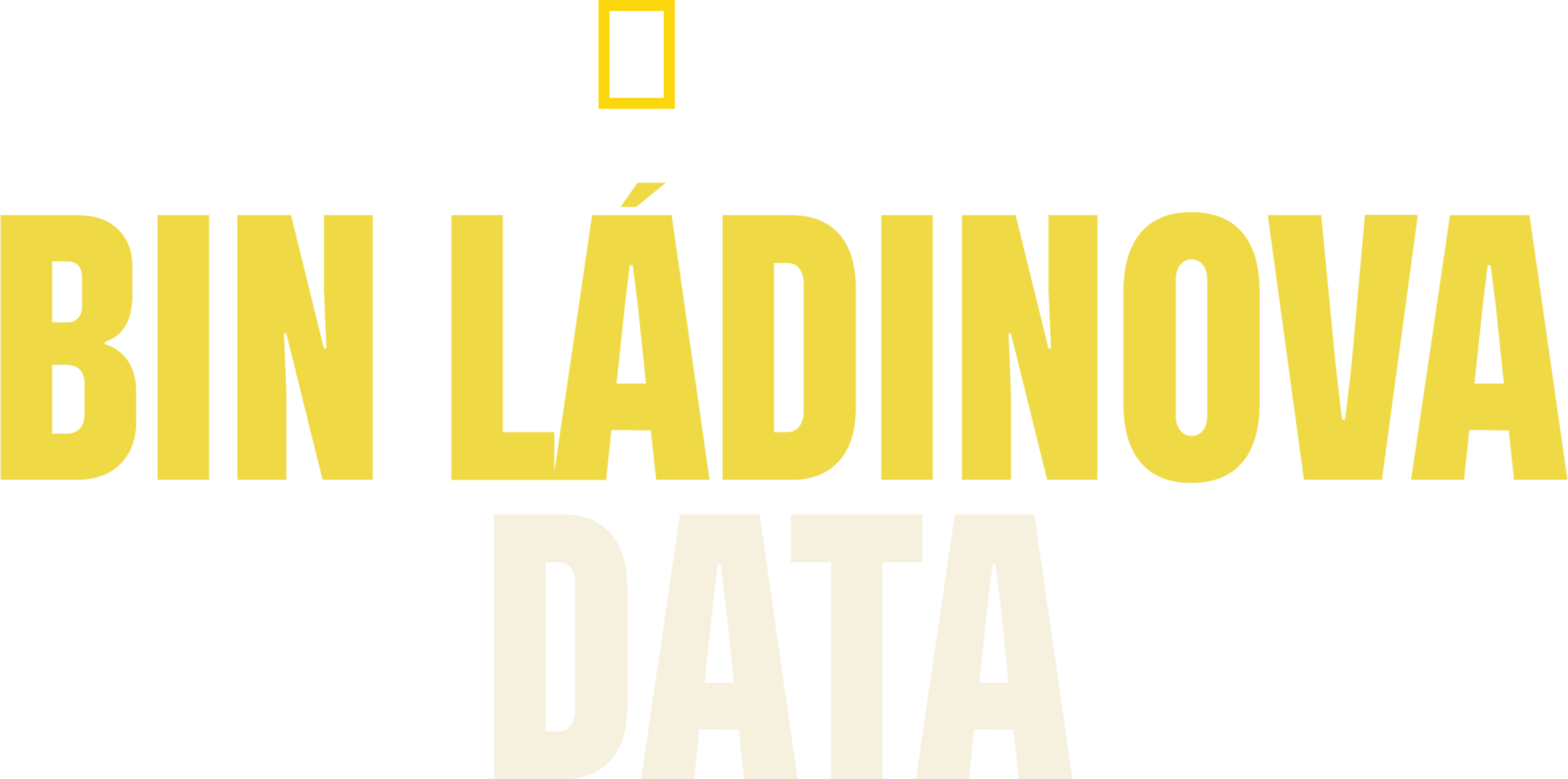 Bin Ládinova data