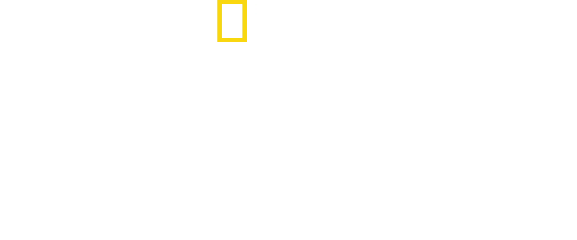 Meet the Chimps