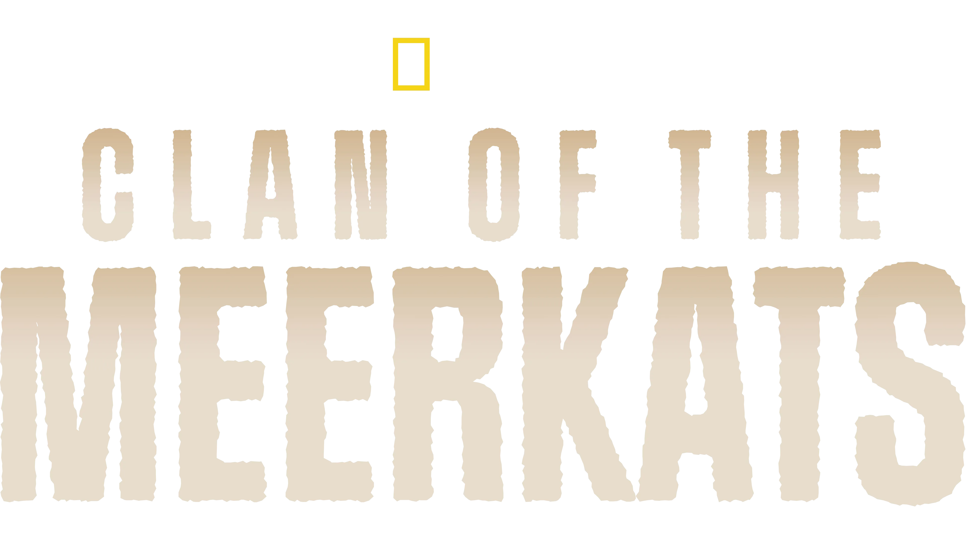 Clan of the Meerkats