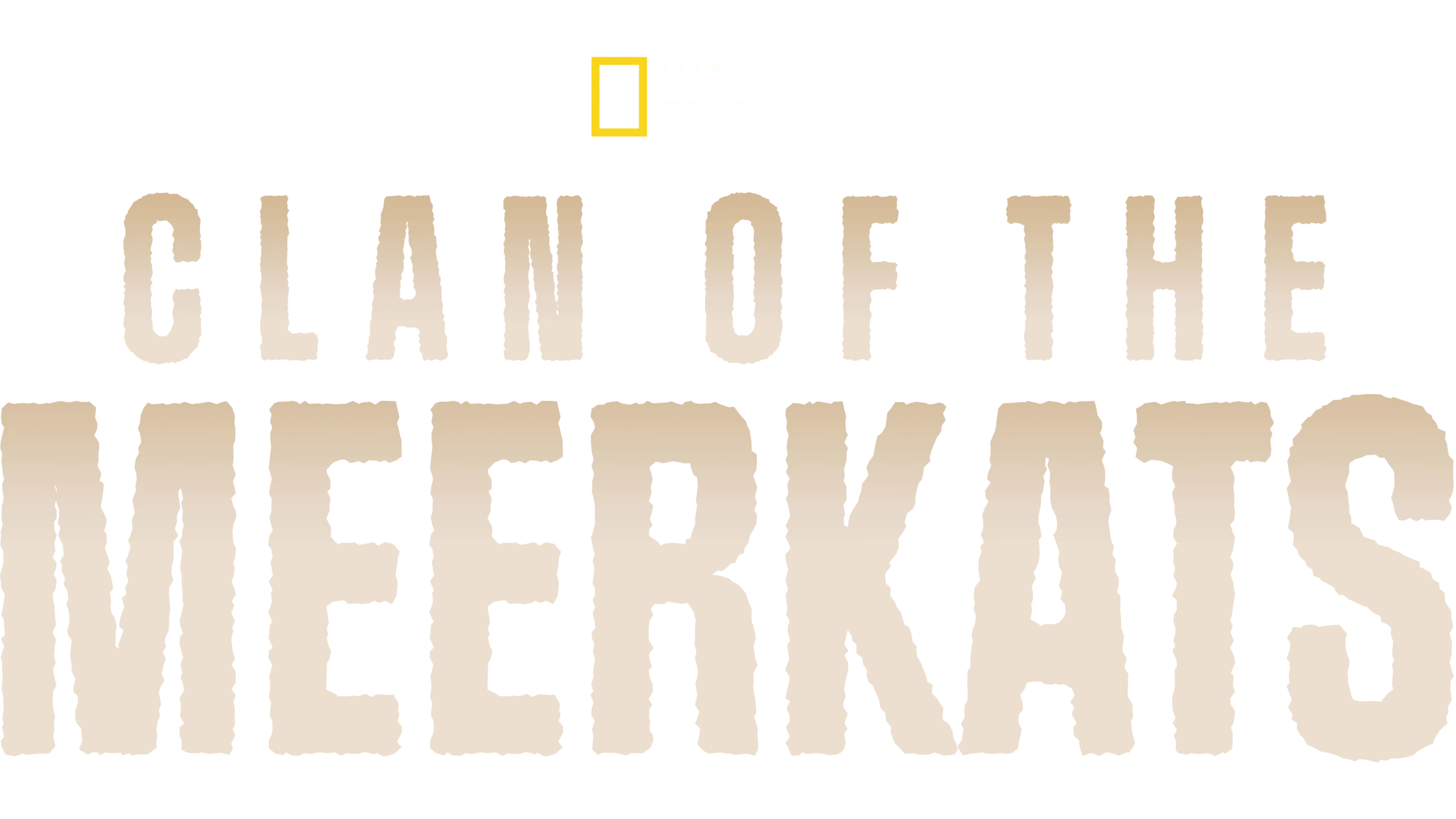 Clan of the Meerkats