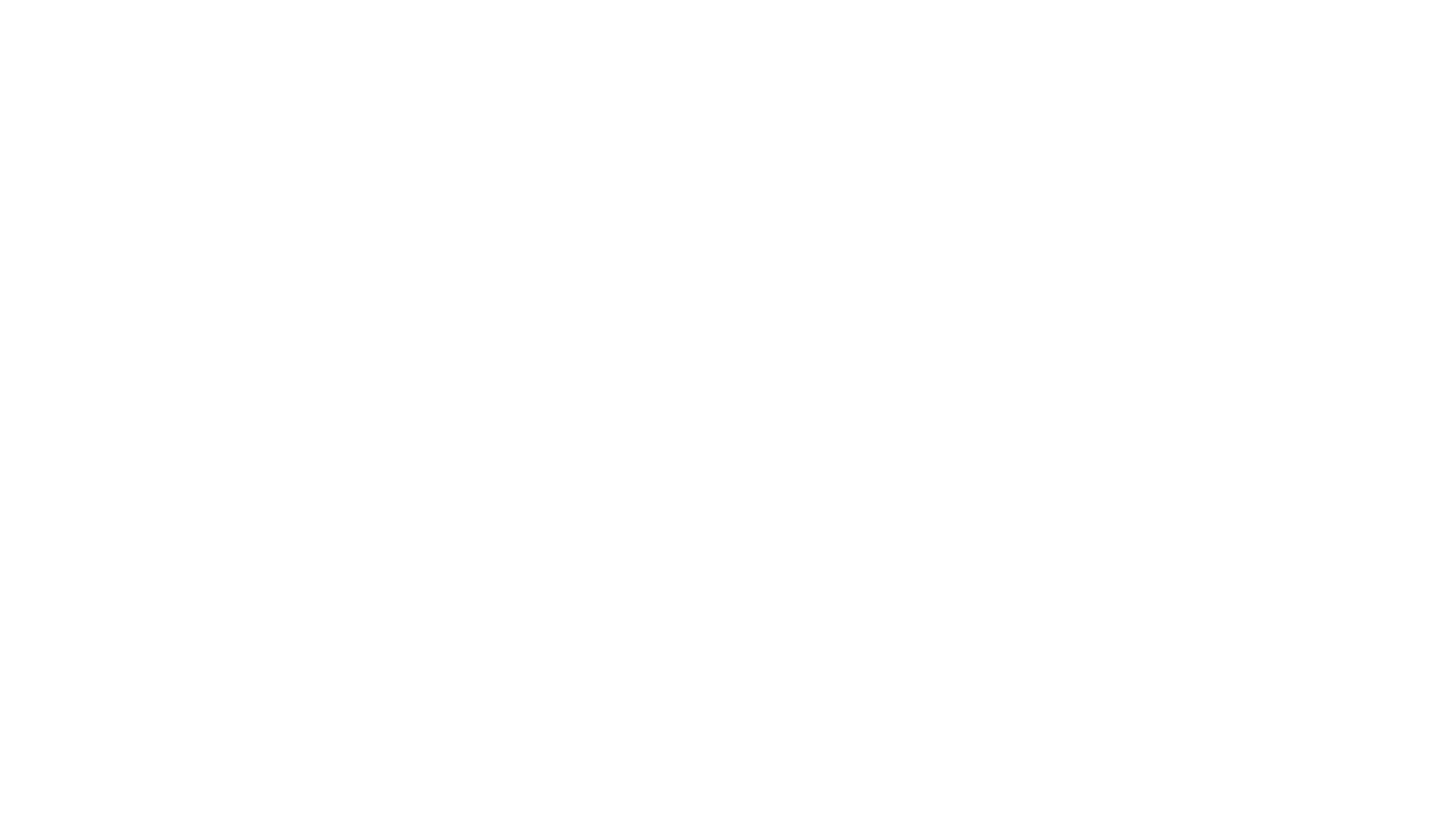 A főnök