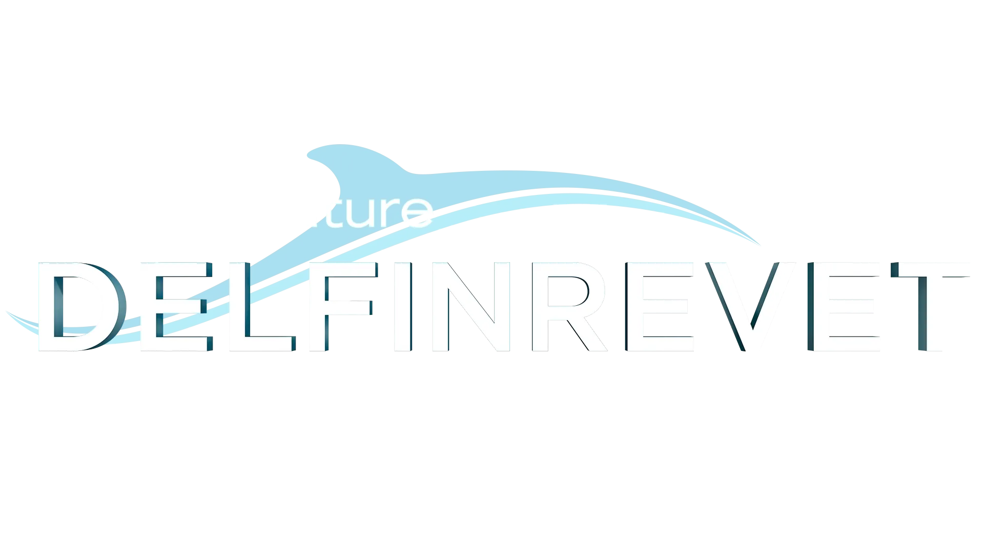 Disneynature: Delfinrevet